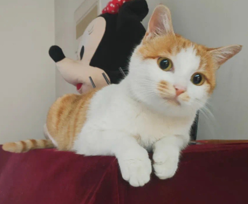 Jubai
